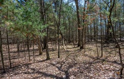 674 17th Drive, Nekoosa, WI 54457
