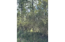 00 Lot E Progress Silver Run Road, Poplarville, MS 39470