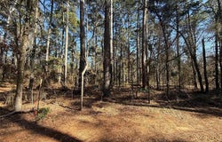 Lot 3 Private Road 8573, Winnsboro, TX 75494