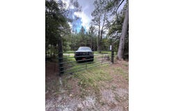 Tbd Salleys Lane, Pineland, SC 29934