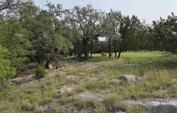 Lt 14108 South Wind, Horseshoe Bay, TX 78657