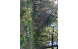 176 Thunderhill Rd, Fancy Gap, VA 24328