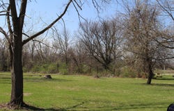 S Caroline Avenue, Bellflower, MO 63333