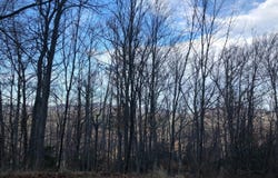 0 Club Road, Windham, NY 12496