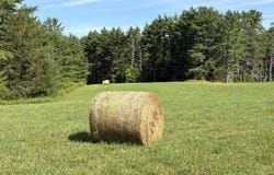 379 Stryker Road, Gilboa, NY 12076