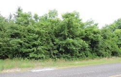 0 S Old Central Road, Greenville, AL 36037