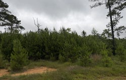 Shell Oil Road, Summit, MS 39666