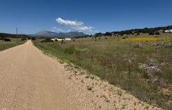 Chickasaw Drive, Walsenburg, CO 81089