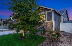 1008 Muntjac St, Severance, CO 80550