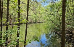 tbd Cabin Land Drive, Radford, VA 24141