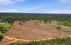 140 MOL AC Dean Turner Ext, Leakesville, MS 39451