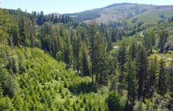 7002 KALAMA RIVER RD, Kalama, WA 98625