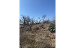 Hale St, Llano, TX 78643