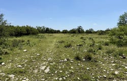 565 Agarita Road, Fort McKavett, TX 76841