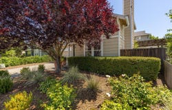 849 Signorelli Circle, St. Helena, CA 94574