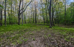 5899 Elm Run, Farwell, MI 48622