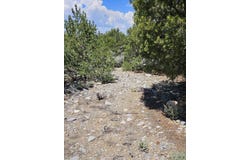 30 Dulcimer Rd, Questa, NM 87556-0000