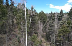 Tbd Apache Circle, Angel Fire, NM 87710