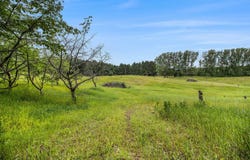 19.19 A W 40TH AVENUE, MEARS, MI 49436