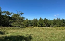 526 Castine Road, Castine, ME 04421