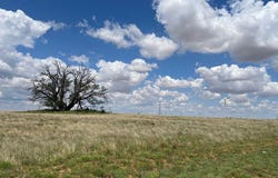 Round Top Road, Snyder, TX 79549