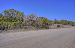 51 Thunder Mountain Road, Edgewood, NM 87015