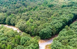 334 LOGGER Lane, Cedar Grove, TN 38321