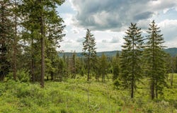 645 Juanita Ln, Elk, WA 99009