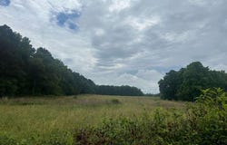 0 Grant, Fayetteville, GA 30215