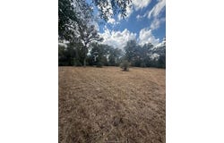 prt of 1251 Deer Point Road, Caldwell, TX 77836