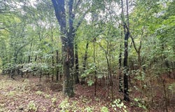 1 Clay 472/461 Road, Piggott, AR 72454