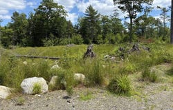 Lot # 18 Granite Rock Circle N, Surry, ME 04684