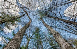 Off EAGLE WATERS RD, Eagle River, WI 54521