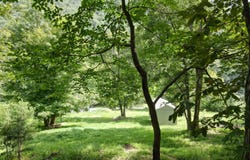 1907 vardy blackwater, Sneedville, TN 37869