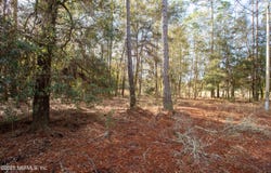 BLAZING STAR Road, Melrose, FL 32666