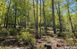 Orchard View Trail, Spruce Pine, NC 28777