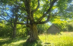 00 Knapp Rd, Rutland, NY 13626