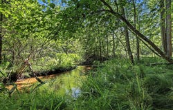 V/L South Shore Drive, Whitehall, MI 49461
