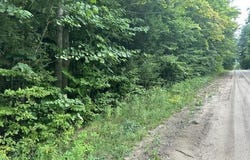 V/L Van Road, Levering, MI 49755