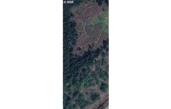 Bernhardt Heights, Florence, OR 97439