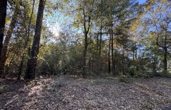 Charles Street lot: #1, Jackson, SC 29831