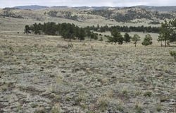 TBDD CR 634.4, Gardner, CO 81040