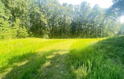 LOT 1 - WARDS FOREST AVE, BEAVERDAM, VA 23015