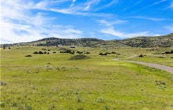 Gateway Drive, Livingston, MT 59047