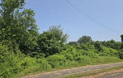 1601 Maryland Ave, Knoxville, TN 37921