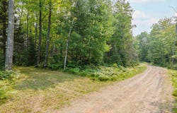 Lots 45&46 Little Maggie, Crystal Falls, MI 49920