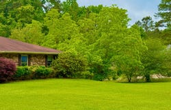 302 Wainwright Rd, Pineville, LA 71360