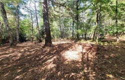 900 East Wilson Way, Grapeview, WA 98546