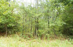 Sand Pit Loop, CAMDEN, TN 38320