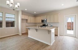 901 W Star Flower Street, Edinburg, TX 78541